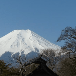 自社保養施設